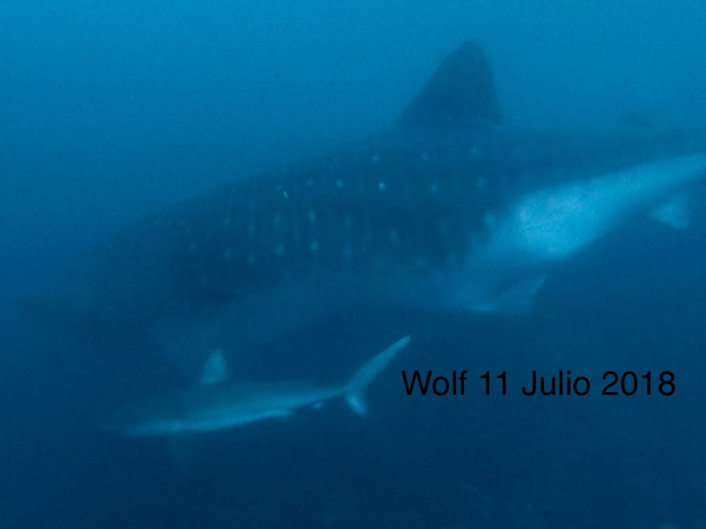 d6ba3980-b5f3-4bd6-bb57-7b1e31a2ec34