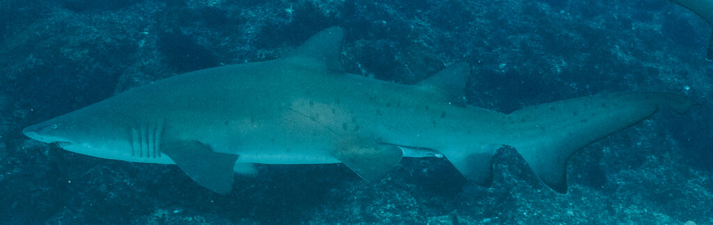 53e24827-0aed-4ff8-8c56-a2834320a541