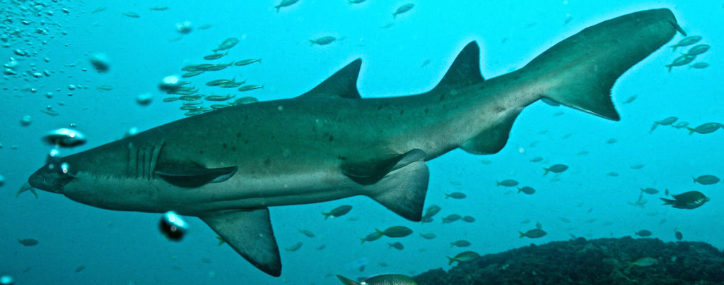 765a2bf4-4f0d-458f-a549-78b5fa9559d5