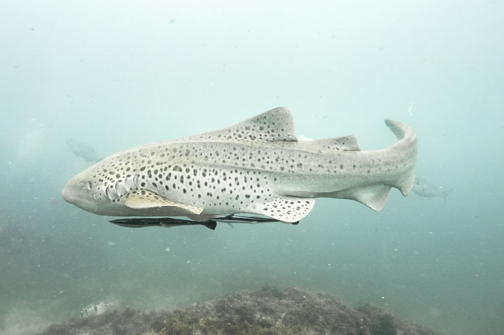 d881fc37-2356-4124-864f-77ccd9ec2098