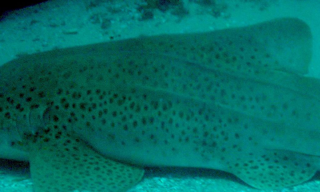 85878708-30d4-4807-a1b2-28cba271ae6f