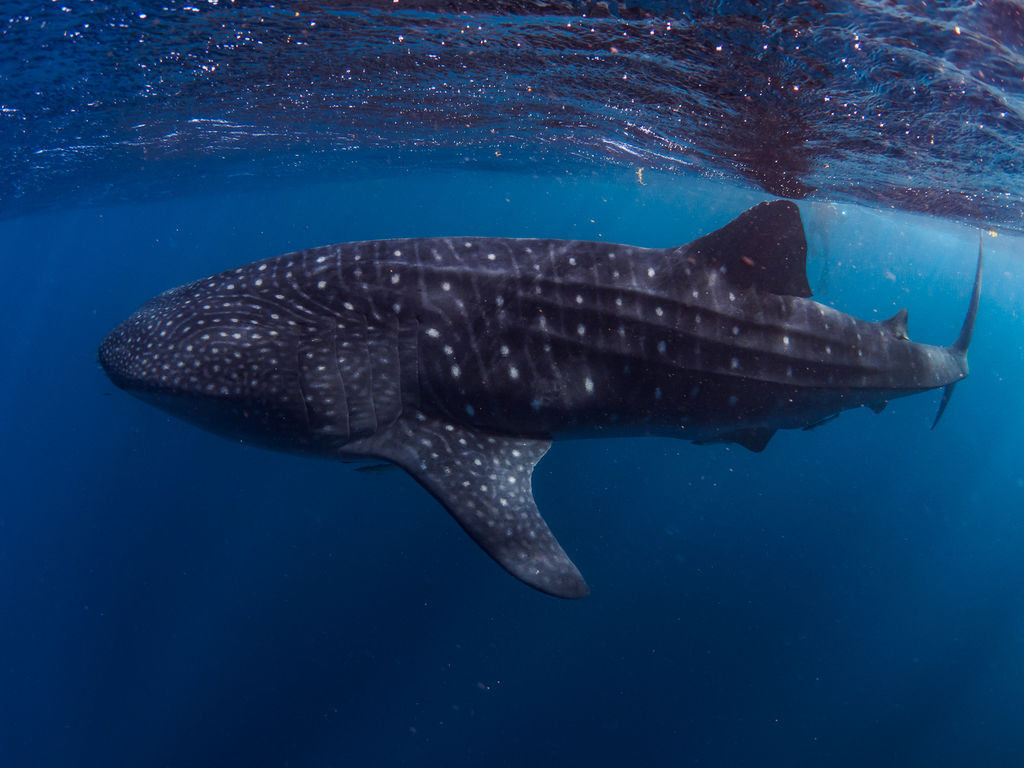 817fb59e-f4e8-4874-b4b8-8b4c7e3aa421