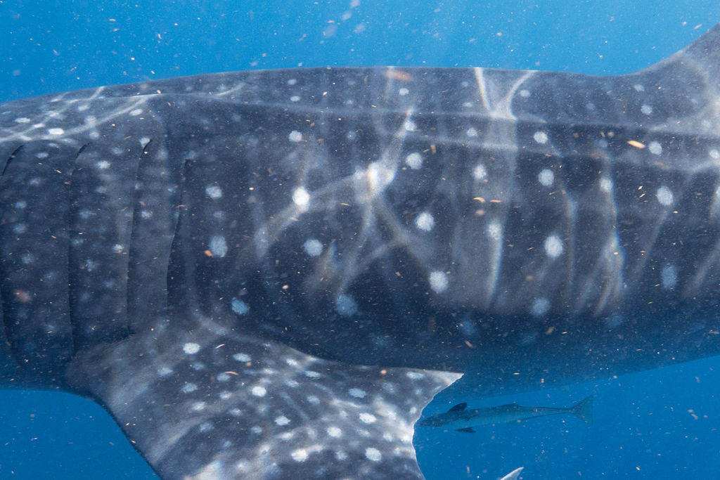 a13076b3-fbc0-434b-b124-f2fbf5338a46