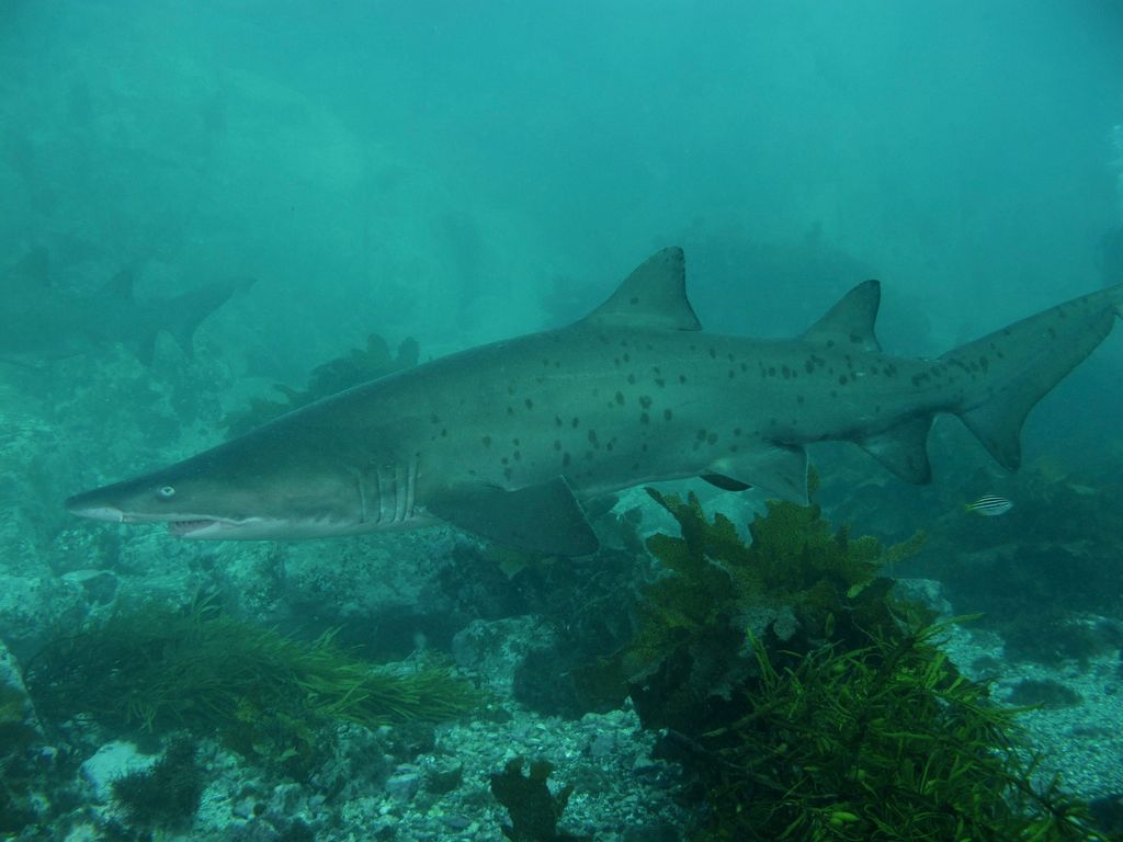 772e9d6f-422a-4278-95b7-93c15fad04e8