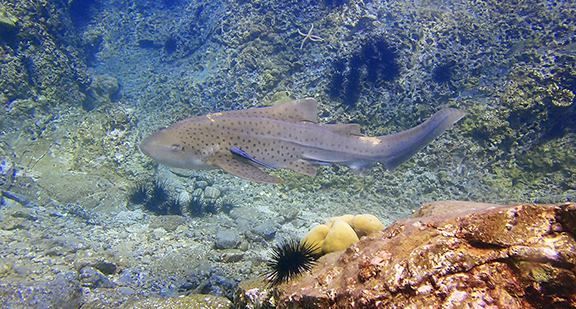 2acba137-f1bf-4cd4-928b-8a60d6c1be83