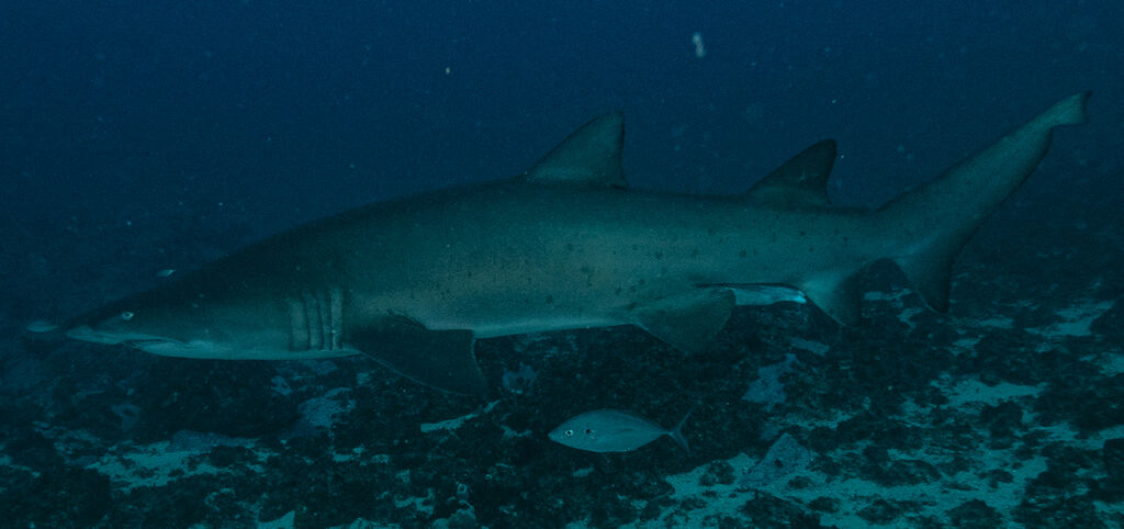 b608376c-746f-4a55-a240-b955b46b28bb