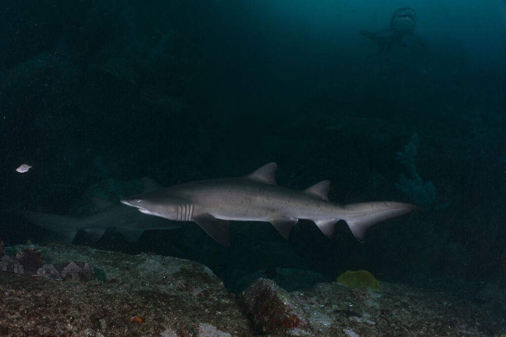 a8d9ea96-2f12-4445-a482-74925eb06fa9