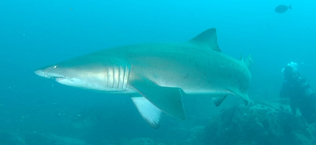 d8e6cce7-85e9-4021-9109-03ef52e4575c