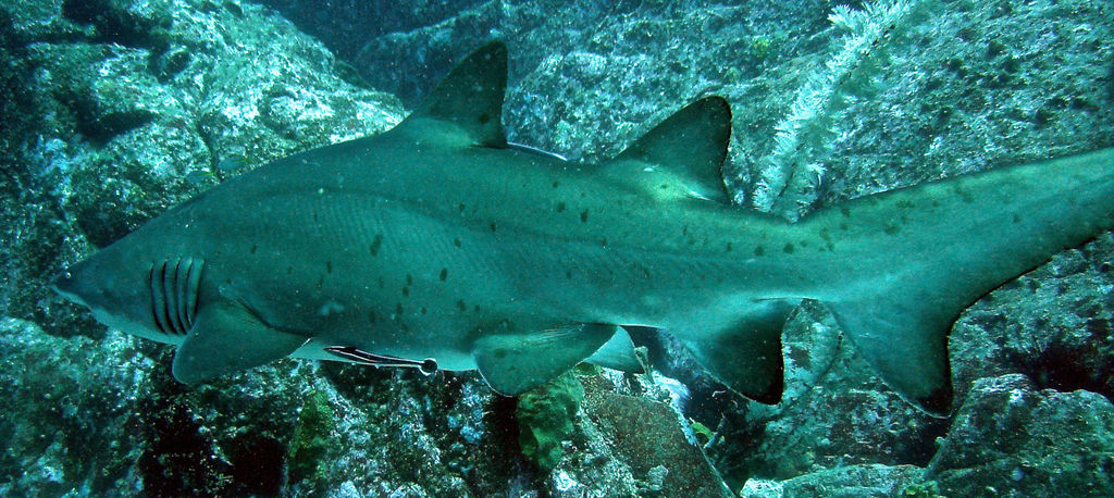 3fca4c9c-6223-4c21-8dce-86ae839329a8