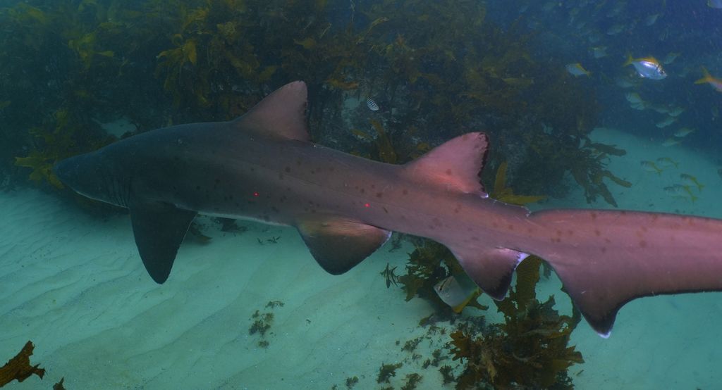 bfdb1ea9-500c-48c3-b1a8-e300236d7229