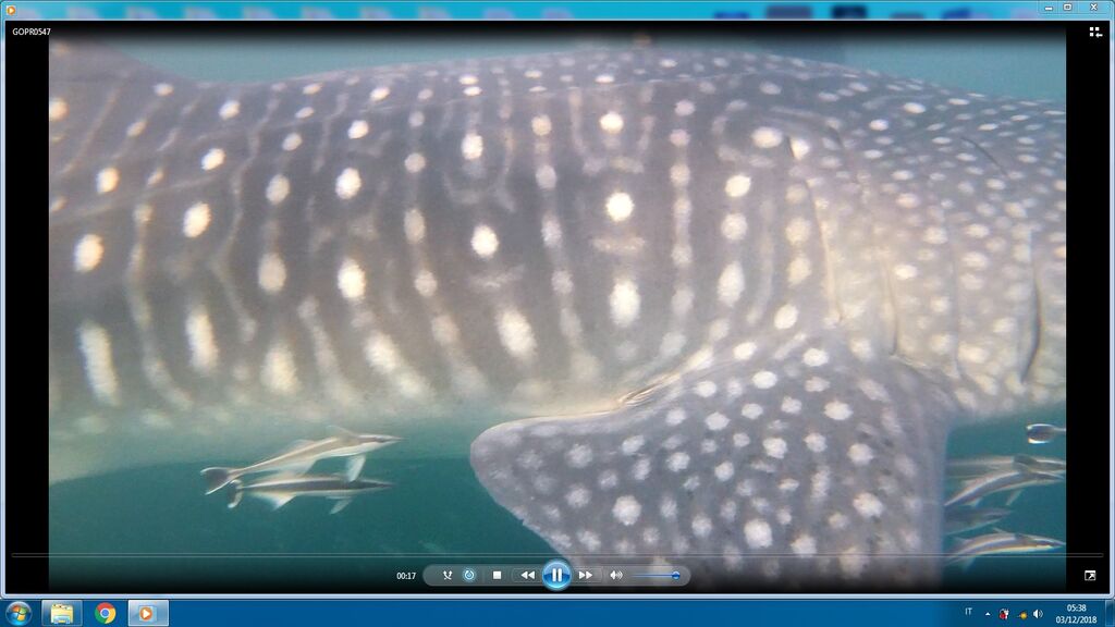 cc238dec-deea-45bb-b919-ed18ca6ee0e0