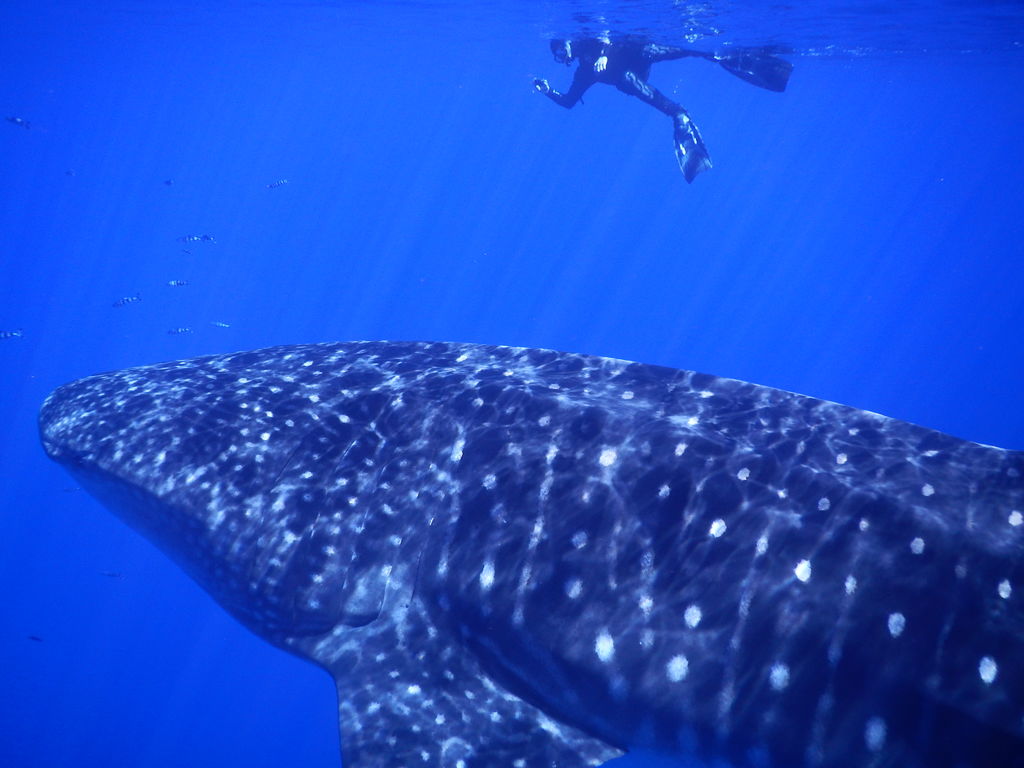 8153fb5b-997f-4010-a922-612fe765fb43