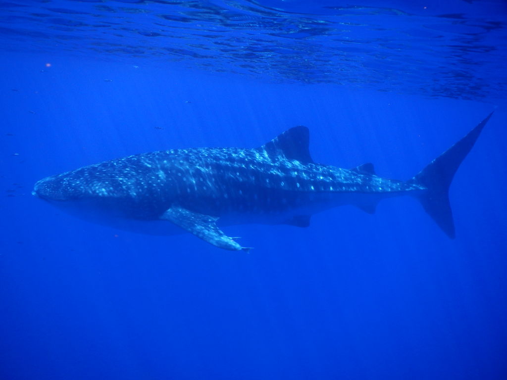 8153fb5b-997f-4010-a922-612fe765fb43