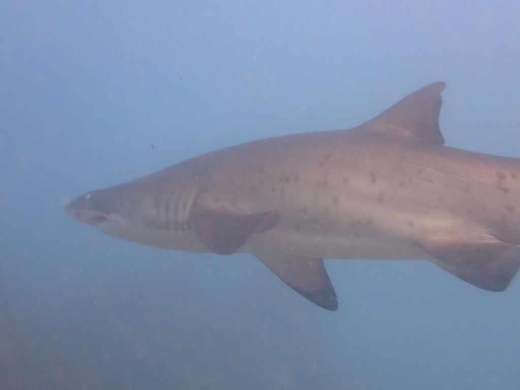 1c666270-5bba-4a18-a6fc-3c0000b644aa