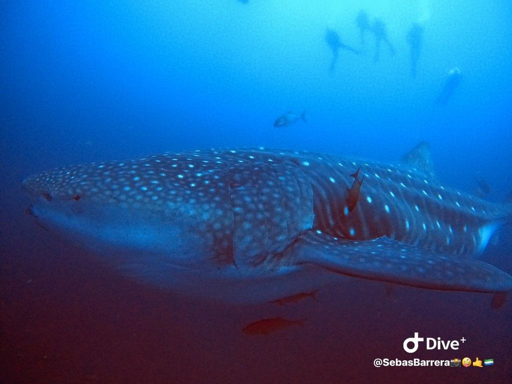 8fbbb3d1-b3c7-4afb-8f90-07d791c3624c