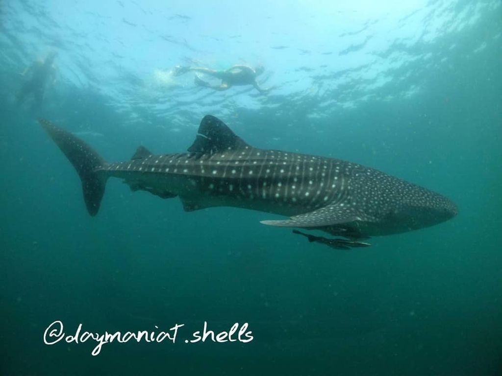 3f2f54df-b666-40c2-a7a8-0bca2e413d8d