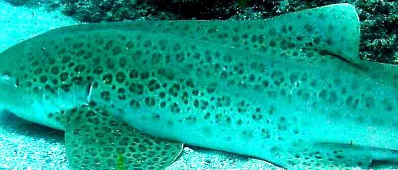 b1f942d7-a14c-42c8-aa50-ddcdc90e1c2f