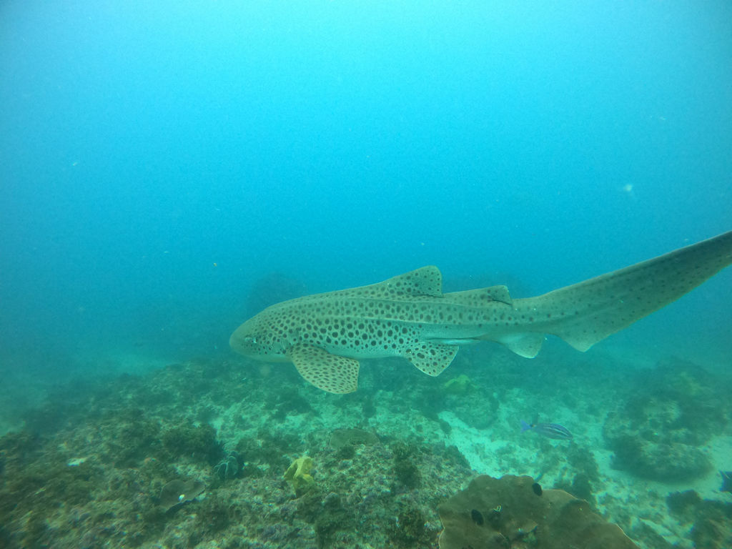 6da96ec4-1b5a-427a-a643-9028f7737e40