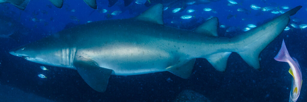 2b7fb509-f4a9-420a-99be-afbd1fb779ea