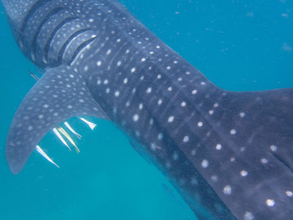 396e1e26-fb16-46ad-ad17-ae3cfad1b0f2