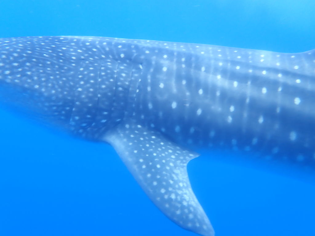 0e52e654-d8c8-489c-beed-8d5ed607611f