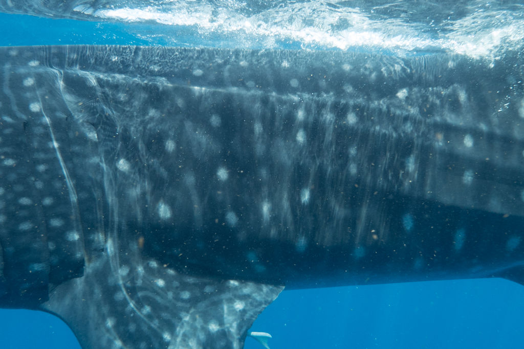 feb1ea97-dbb1-441f-9fc9-741ca5a2c59e