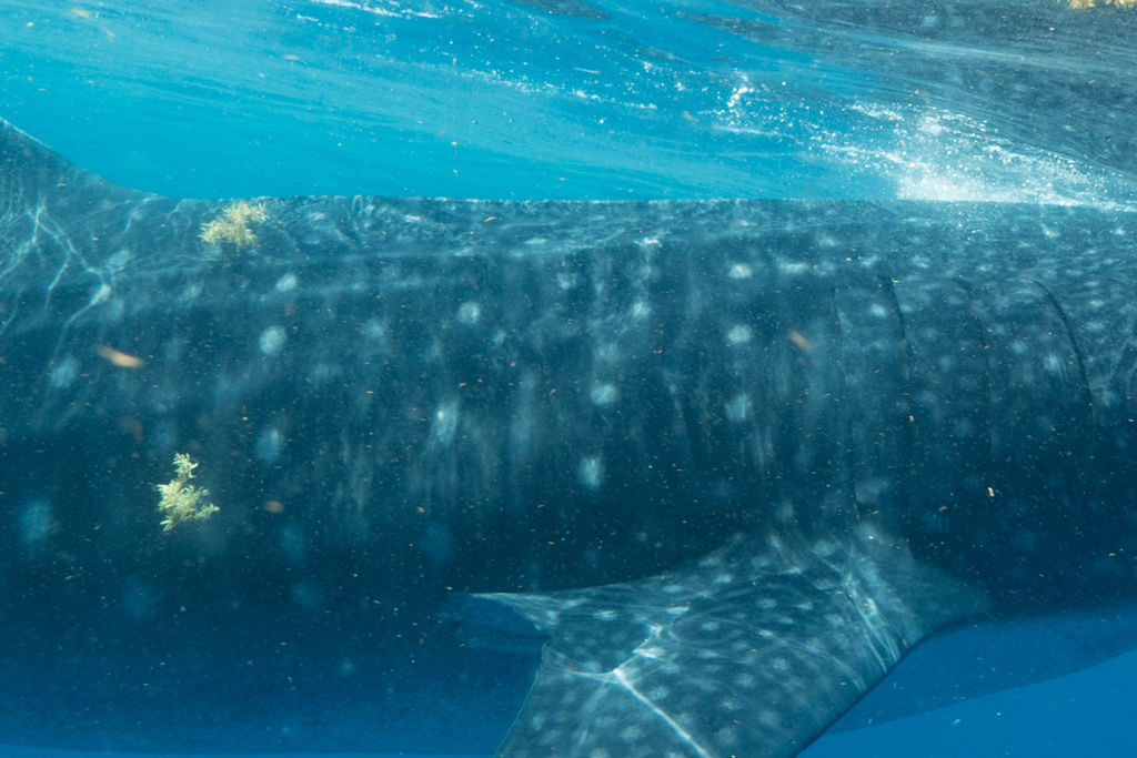 feb1ea97-dbb1-441f-9fc9-741ca5a2c59e