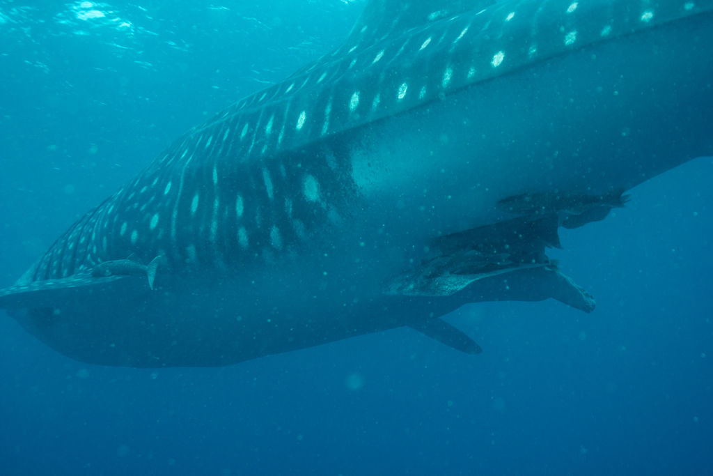 9f547409-5621-4363-a6e4-e3b8c8ed4e2a