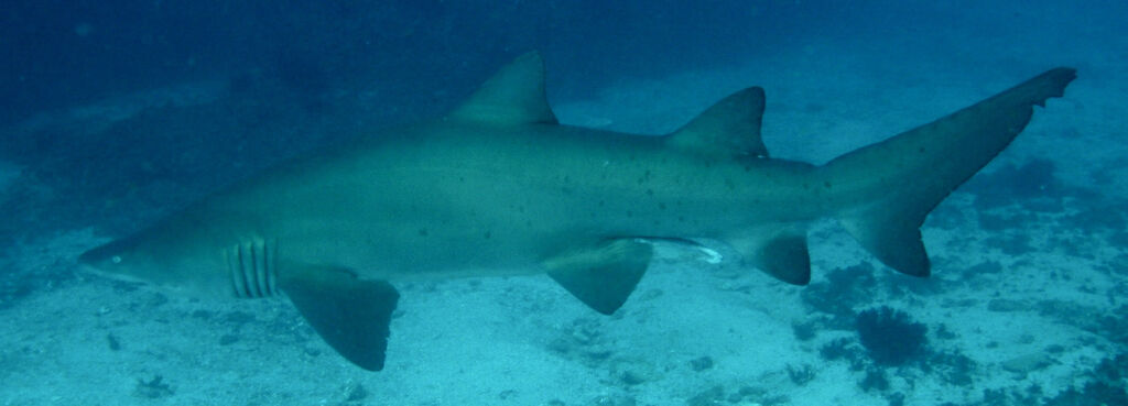 3ebde6d0-2421-484e-87d9-298aaa832d0a