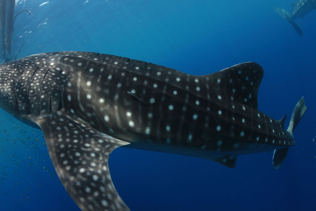 c6e85104-6d8f-4ce3-af4c-fbeeebe14664