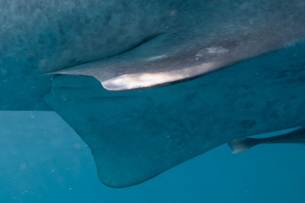 00d37770-c437-40d9-8029-425203a977ba