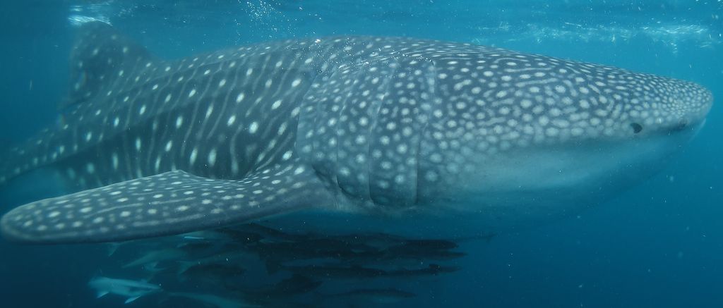 6f4c3bfc-f321-4964-a6ef-197de5e52a3f