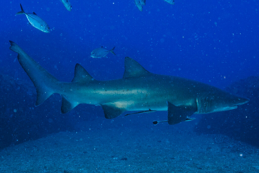 7bab540e-4383-498e-84fb-a1807d5c7470