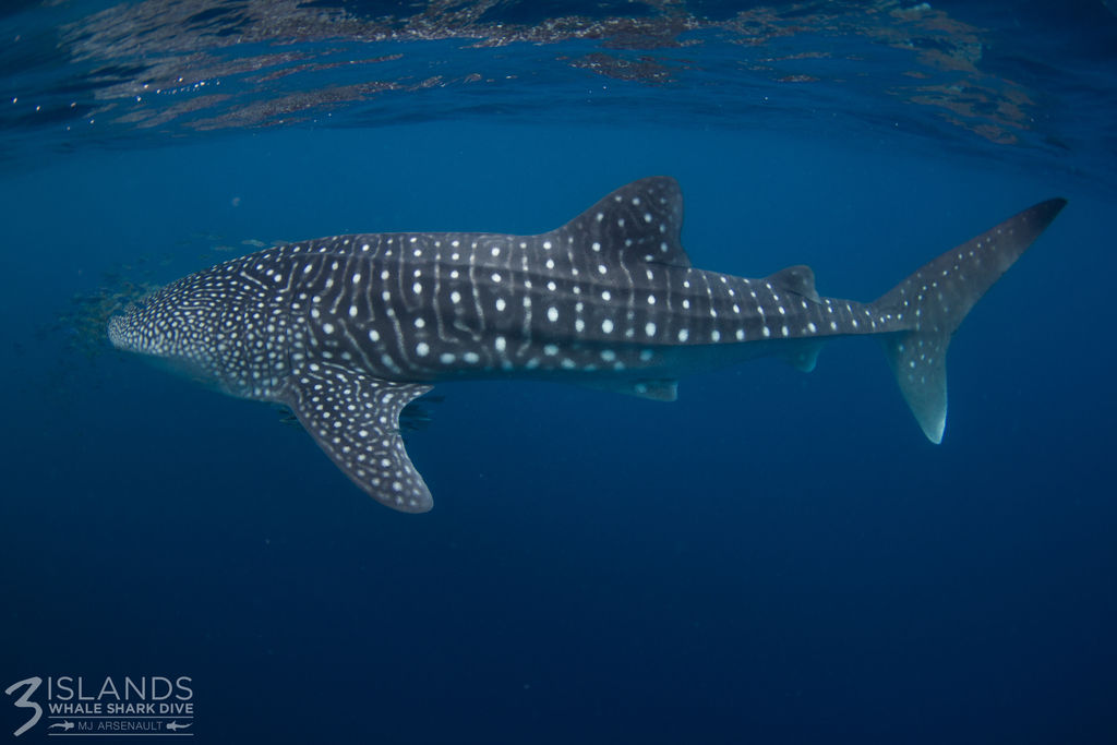 7b40b306-8211-4e54-9b5f-62c301952331