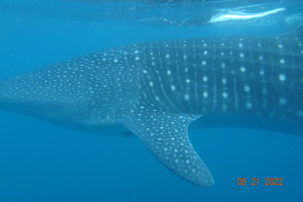 014bea73-35f6-4619-8c75-b8832f308068