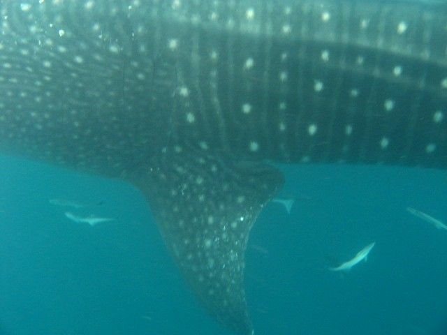 ea71b899-9095-4d98-8bdb-956955f824e2