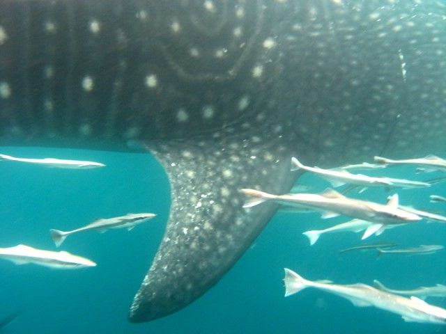 ea71b899-9095-4d98-8bdb-956955f824e2