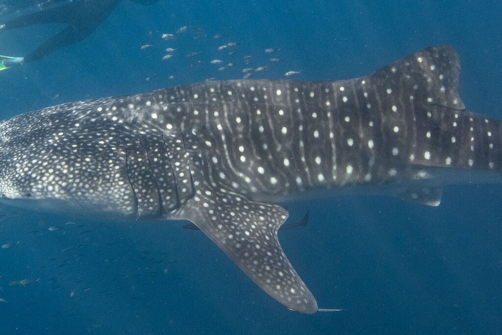 a6b00d87-b8c4-4706-babe-41b85fe55eeb