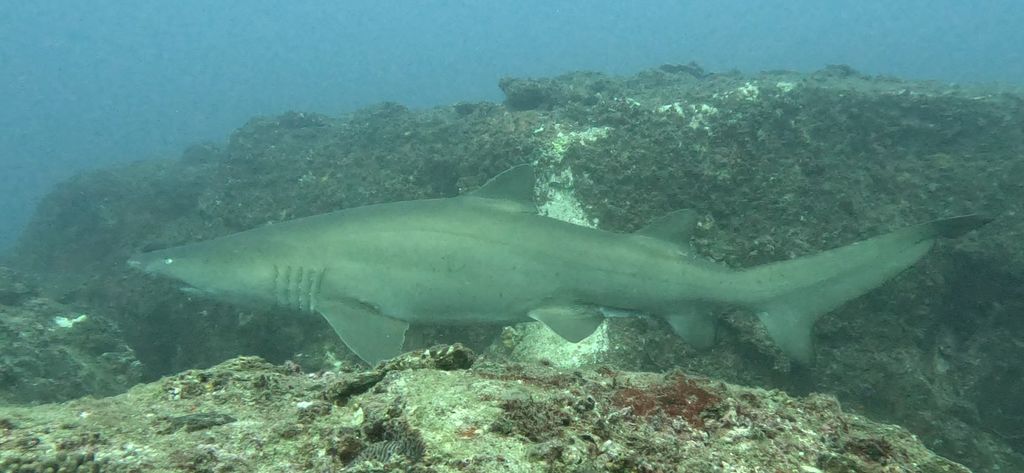 fdfcbad9-3440-47b3-94bb-051a0da3756f