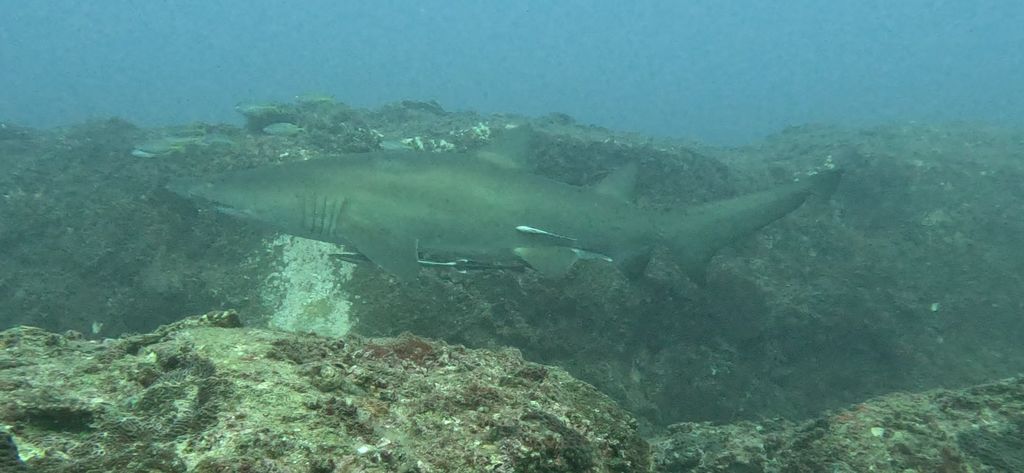 fdfcbad9-3440-47b3-94bb-051a0da3756f