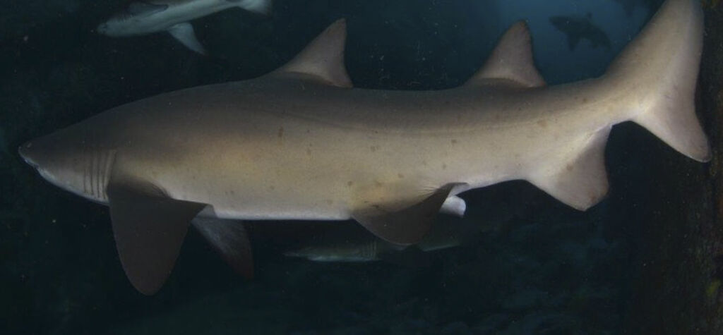 95300620-0c89-40c7-8097-48cbf169acad