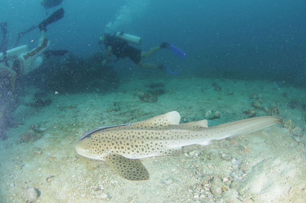 b7231fd2-22d1-4542-b614-1e2efb9815eb