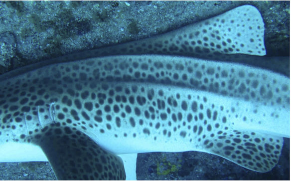 b264f02b-4d73-4be9-9d1c-d8c6bbe21cdf