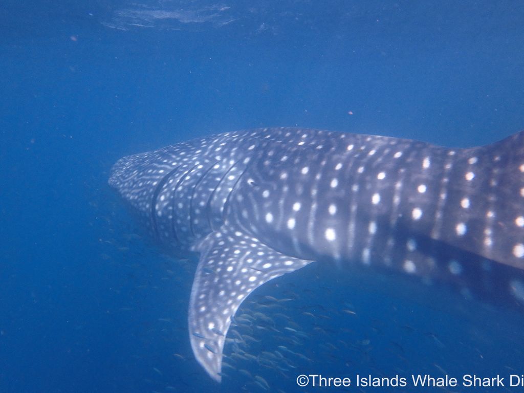 a9c9c750-f8ba-42f2-8a97-948502d68c88