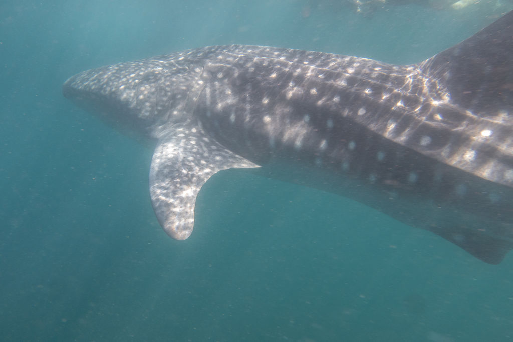 902e4dd1-aad4-48f7-b203-badac14d42d5