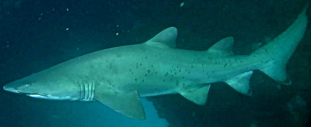 c56eb5de-ba9c-41e8-bf48-f73bf16db0b5