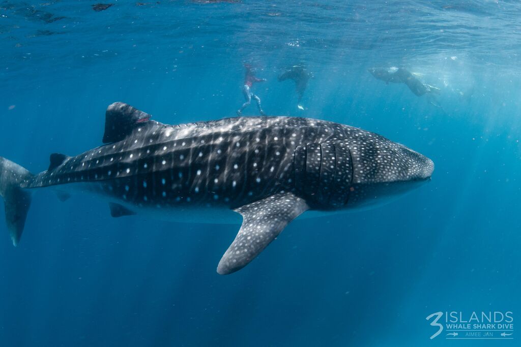 b637452a-facb-4b4e-bfe3-b9c2bbcddde7