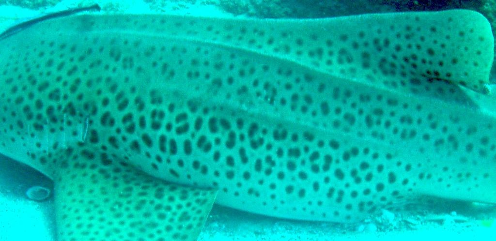 8e59f0a2-dd88-4074-a53e-eb8a7f05e2a9