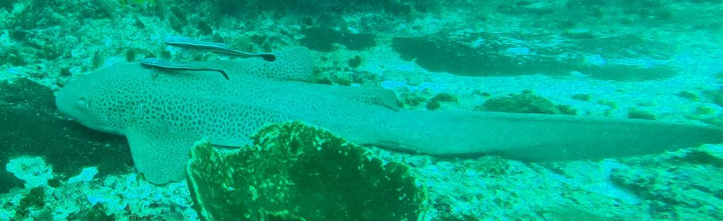 46de667d-9e59-4cd4-8aa4-a4901baf71ac