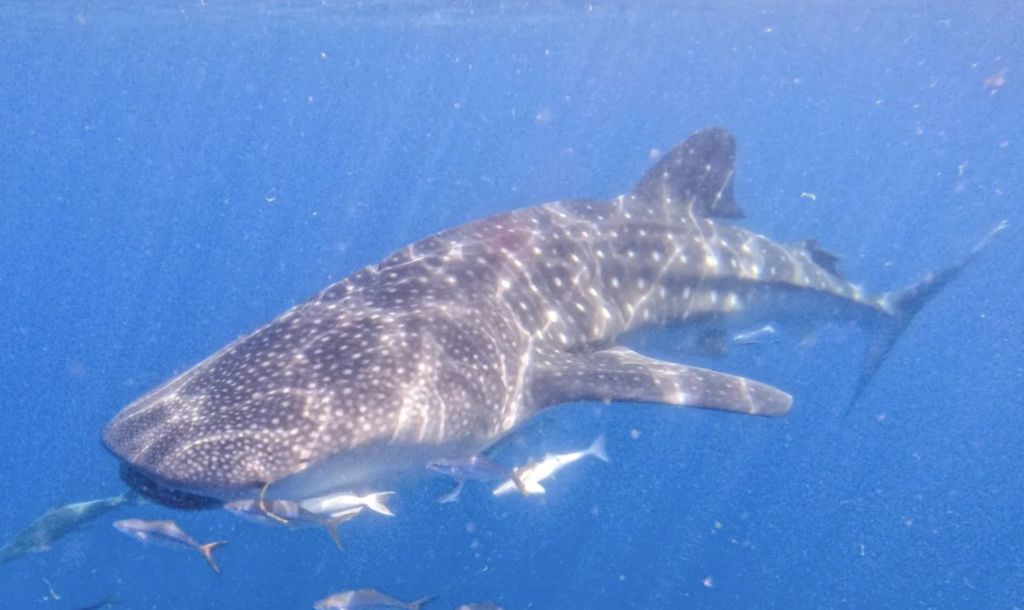 8e1666e7-41d2-4e4c-ae1a-57f1f5b465a4